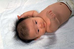 宅配弁当を産後に活用すると食事の準備も簡単